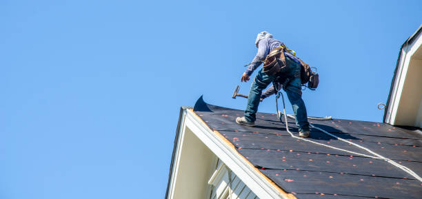 Best New Roof Installation  in Port Edwards, WI